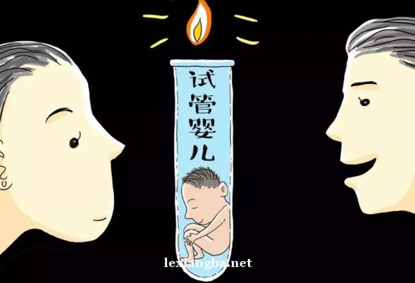 供卵代生男孩-供卵代生:实现梦想的男孩