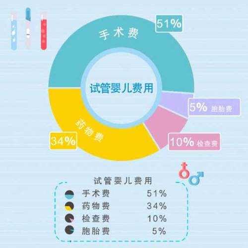 供卵试管代怀费-供卵试管代怀费:解读费用构成及节约技巧
