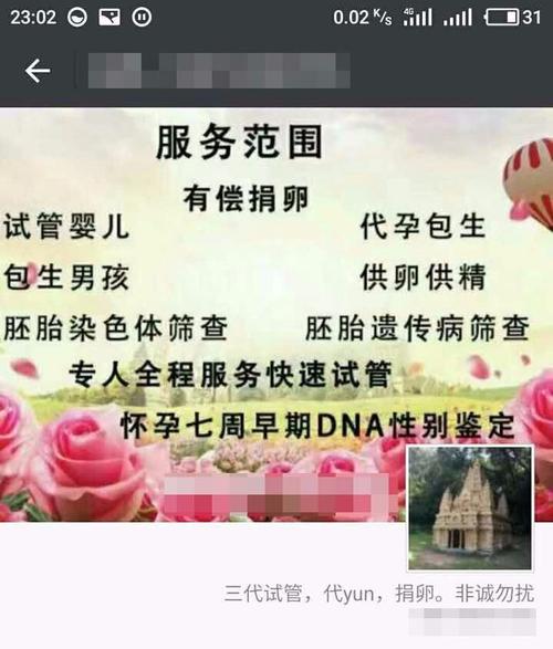 供卵试管代怀服务_供卵试管代怀服务中心