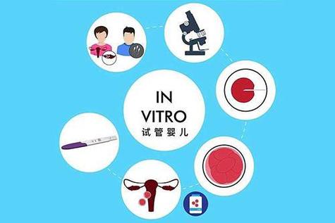 哪里试管代怀靠谱-哪里试管代怀靠谱:选择合适的试管代怀中心