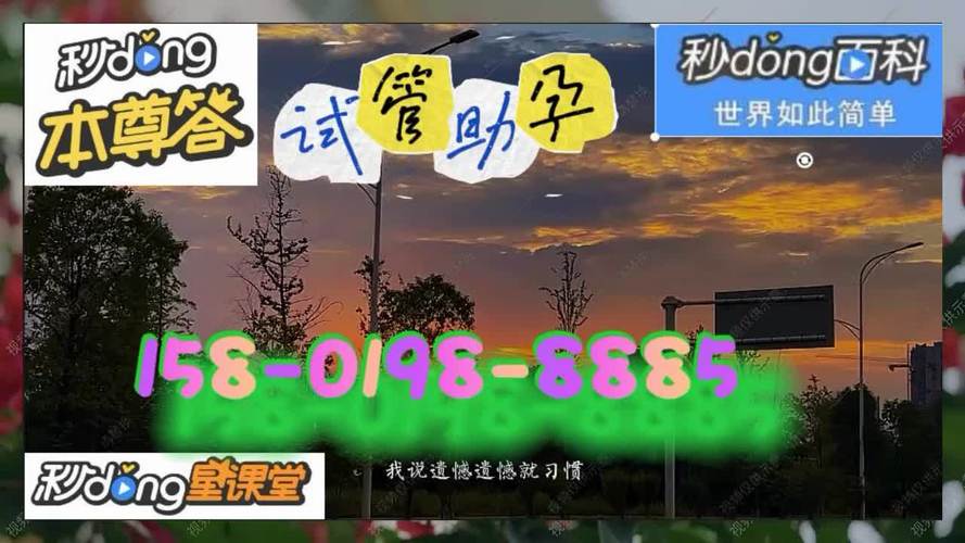 供卵试管代怀公司(供卵试管代怀公司:助您实现梦想)